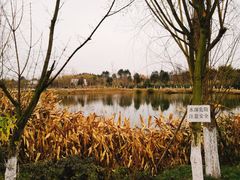 景点-白鹭湾湿地公园