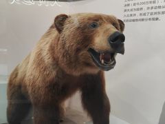 -武汉园博园(武汉自然博物馆)