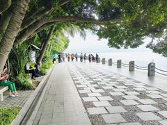 -深圳湾公园(南山区)