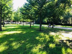 -朝阳公园游乐园