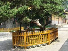 android_upload_pic-普陀山风景名胜区-法雨禅寺