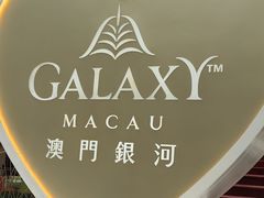 -影汇之星8字形摩天轮