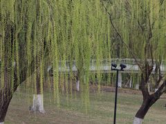 -昆山城市公园
