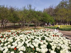 -石家庄市植物园