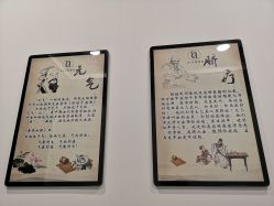 -DEM缔怡美科技美容