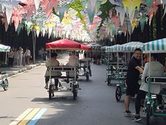 -日照海滨国家森林公园