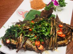 -老滇山寨•云南特色菜•地方菜•民族风情歌舞表演(金碧店)