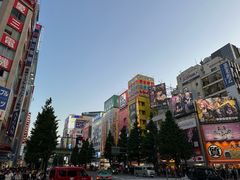 -秋叶原电器街
