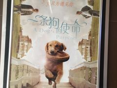 -龙之星国际影城(太平店)