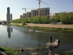 -桃花堤公园