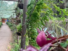 -北海金海湾红树林生态旅游区