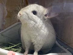 -龙猫仔乐园(惠福东路店)