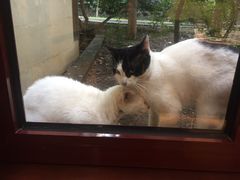 -金石唐风国际温泉会馆