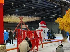 -宁波冰雪大世界(北仑区)