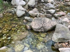 -老界岭旅游度假区