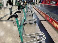 -厦门高崎国际机场-T3航站楼