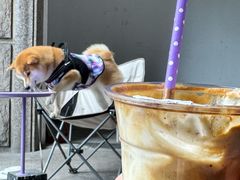 -HANA COFFEE(长寿路店)