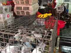 -树木岭集贸市场(劳动东路)