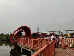 -芒洲湿地公园