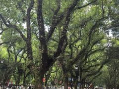 -桂林两江四湖景区