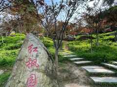 -广州市帽峰山景区
