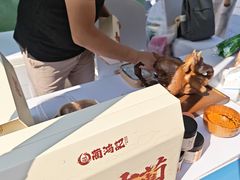 -黄荆老林