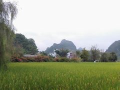 -靖西鹅泉风景区
