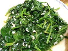 炒木耳菜-金牌酸菜鱼(蓝天花园店)