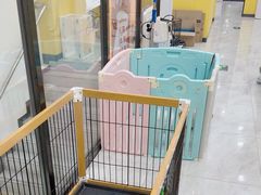 -瑞派·爱瑞可动物医院·口腔专科(广华新城分院)