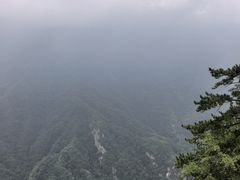 -陕西省红河谷森林公园