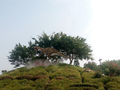 -自贡恐龙博物馆