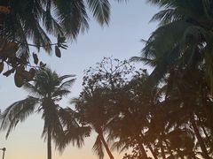 -白沙滩