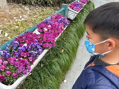 -上海交通大学医学院附属仁济医院(南院)