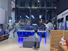 -Sony Store索尼(深圳深业上城店)