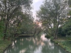 -西溪国家湿地公园