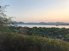 -湖畔居茶楼(湖滨店)