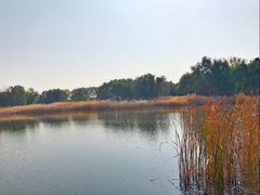 -永定河休闲森林公园