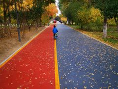 -大兴滨河森林公园