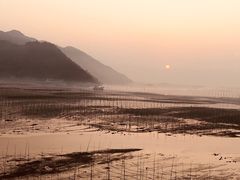 -北岐滩涂