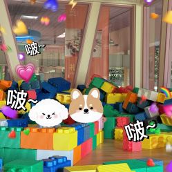 -猩积木儿童体智开发中心(未央店)
