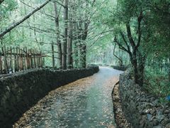 -和顺古镇