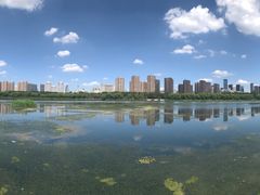 -长白岛森林公园
