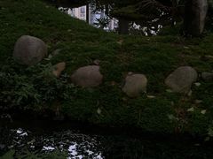 -成都市活水公园