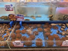 -鲜得莱渔港·小平岛海胆馆(七贤岭店)