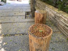 -自在弥林花园餐厅(云栖店)