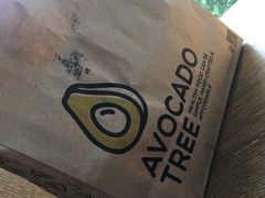 -油梨树AVOCADO TREE(望京店)