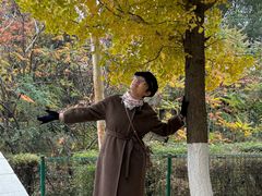 -长白岛森林公园