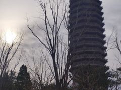-西海子公园