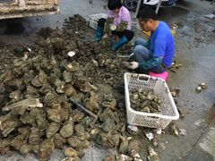 -蚝专家(北滘店)