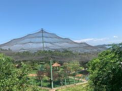 -鄱阳湖国家湿地公园